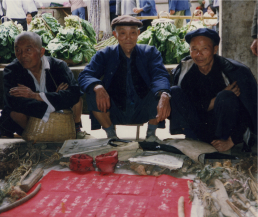 folk herbalists